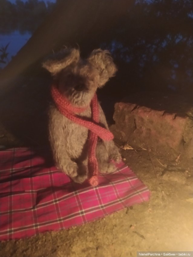 Начало дружбы. Девочка и пёс.часть 2