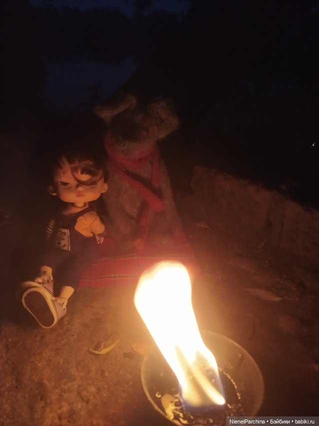 Начало дружбы. Девочка и пёс.часть 2