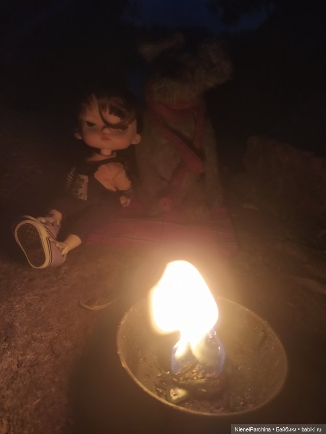 Начало дружбы. Девочка и пёс.часть 2