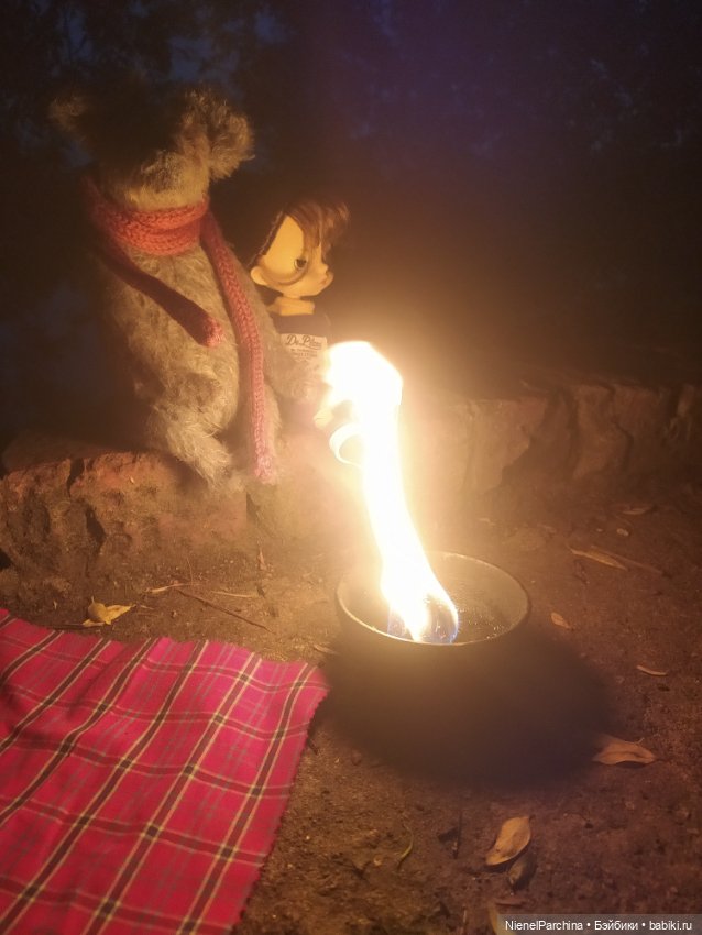 Начало дружбы. Девочка и пёс.часть 2