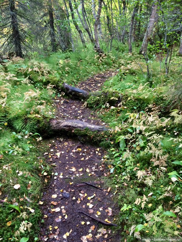 Грандиозное путешествие с Даки по Кольскому полуострову. Часть вторая. Сейдозеро