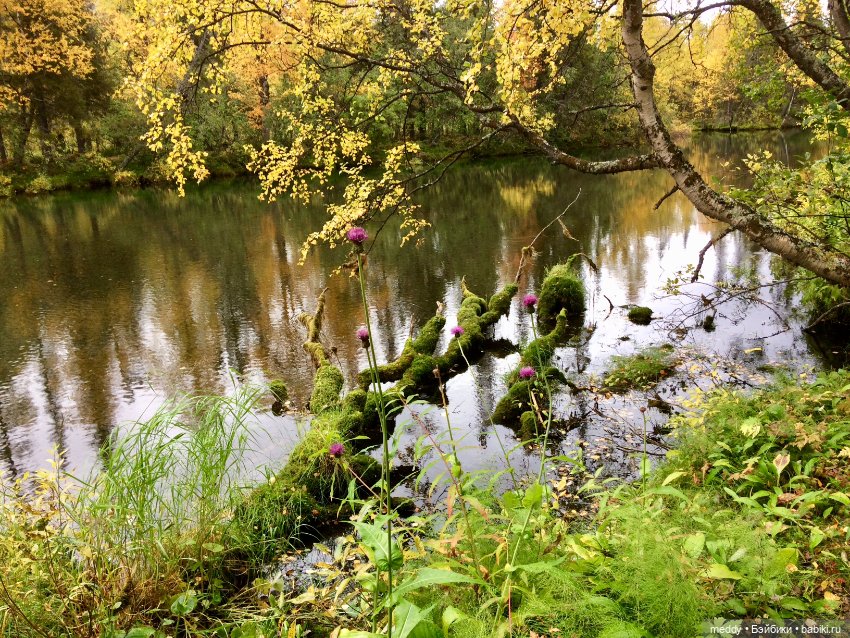 Грандиозное путешествие с Даки по Кольскому полуострову. Часть вторая. Сейдозеро