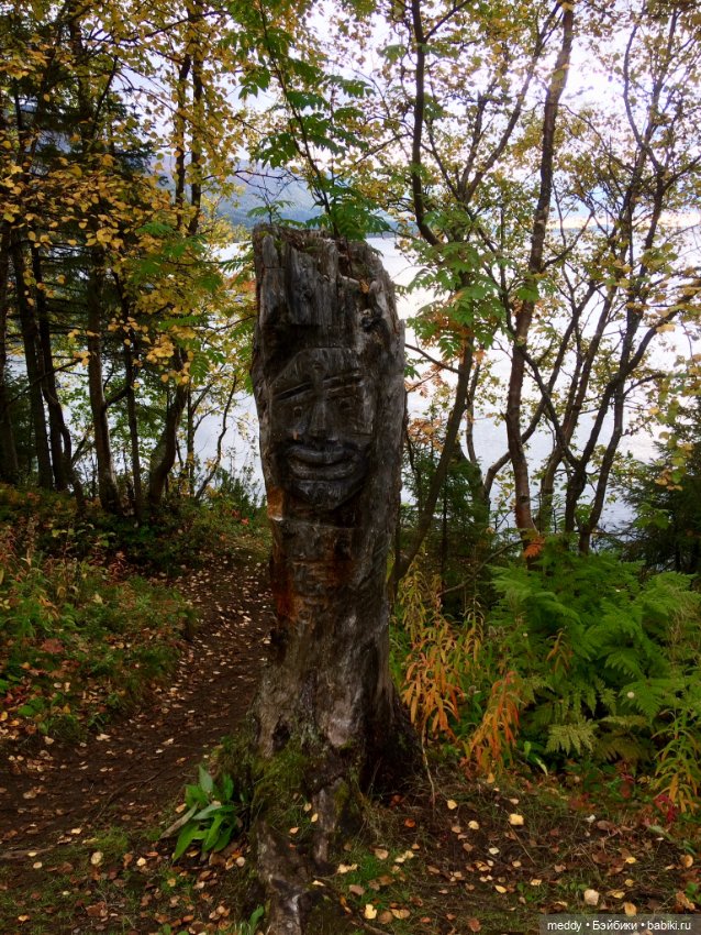 Грандиозное путешествие с Даки по Кольскому полуострову. Часть вторая. Сейдозеро (фото 2)