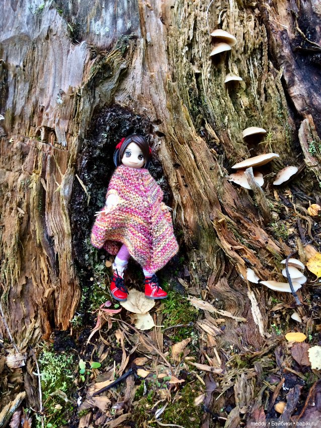 Грандиозное путешествие с Даки по Кольскому полуострову. Часть вторая. Сейдозеро