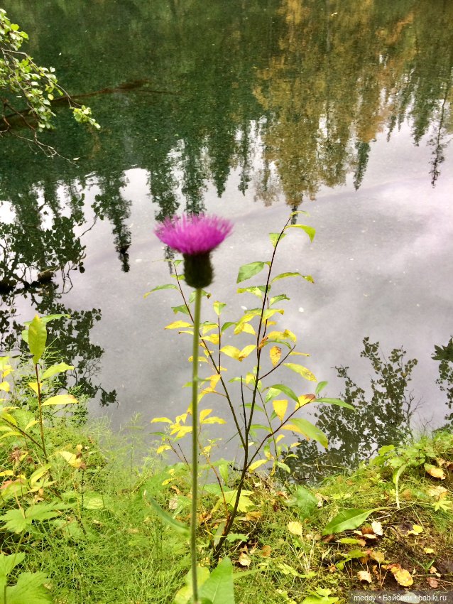 Грандиозное путешествие с Даки по Кольскому полуострову. Часть вторая. Сейдозеро