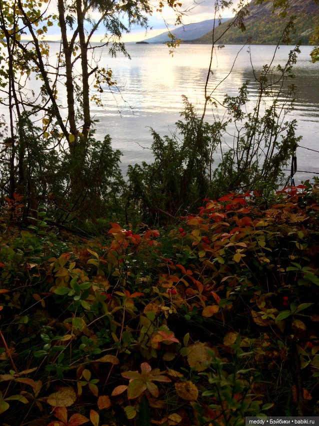 Грандиозное путешествие с Даки по Кольскому полуострову. Часть вторая. Сейдозеро (фото 6)