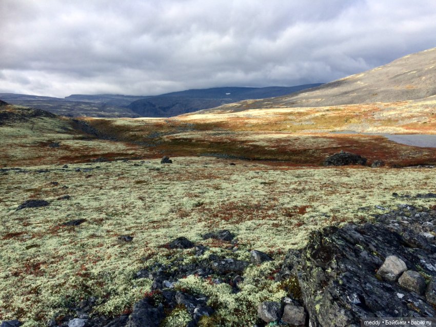 Грандиозное путешествие с Даки по Кольскому полуострову. Часть вторая. Сейдозеро