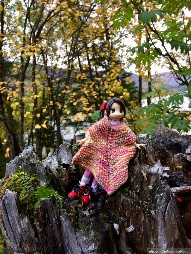 Грандиозное путешествие с Даки по Кольскому полуострову. Часть вторая. Сейдозеро