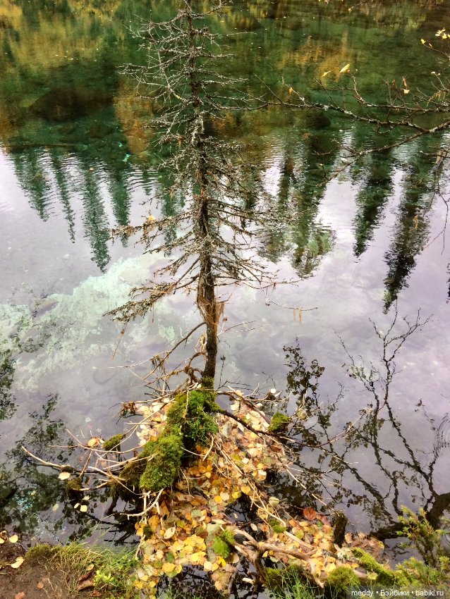 Грандиозное путешествие с Даки по Кольскому полуострову. Часть вторая. Сейдозеро