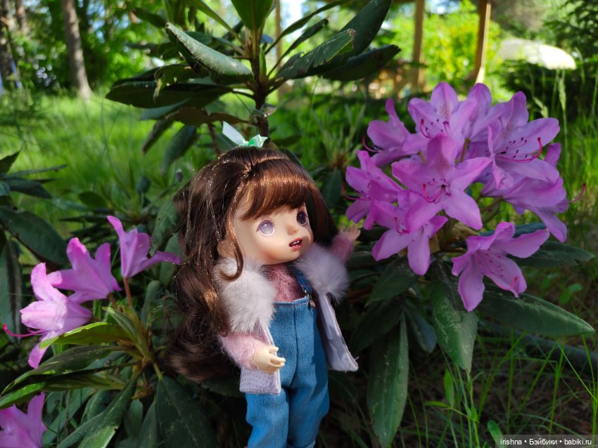 Монст на даче — Разные шарнирные куклы (не БЖД): редкие