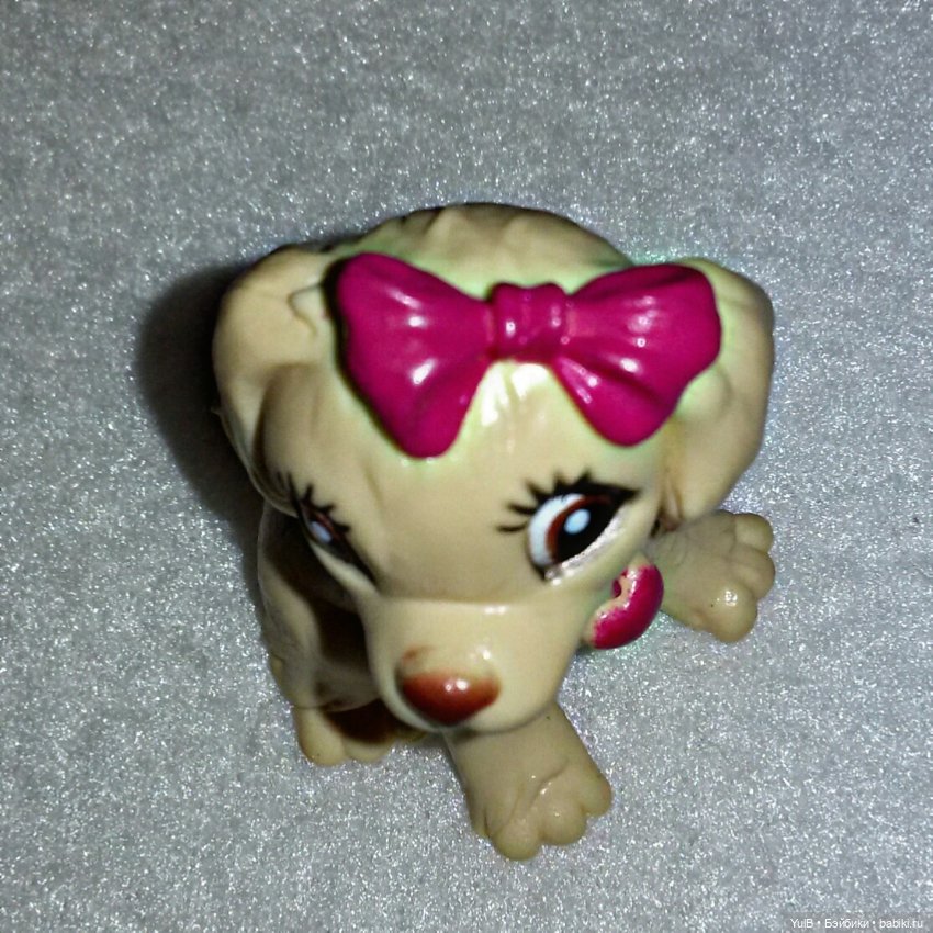 ...Собачья будка для зайца