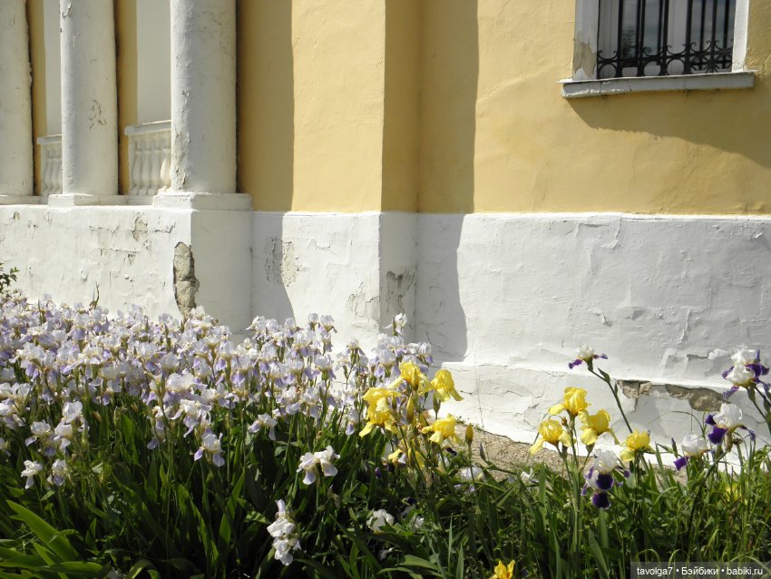 Галамартовна в Коломне — Коллекционные куклы разных авторов (Разное): редкие бренды