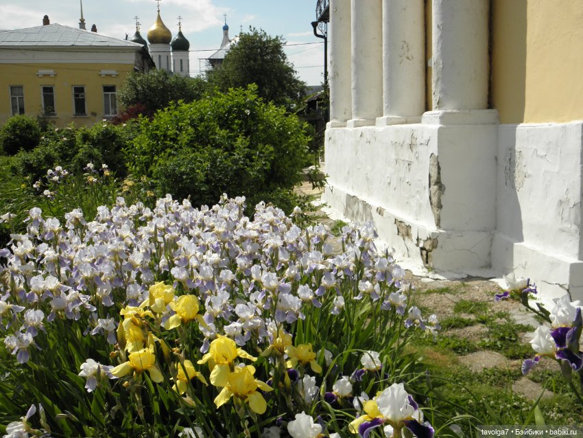 Галамартовна в Коломне — Коллекционные куклы разных авторов (Разное): редкие бренды