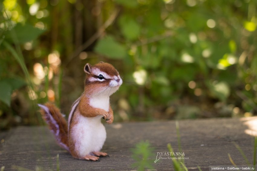 Бурундучок — Валяные игрушки из шерсти: сухое валяние