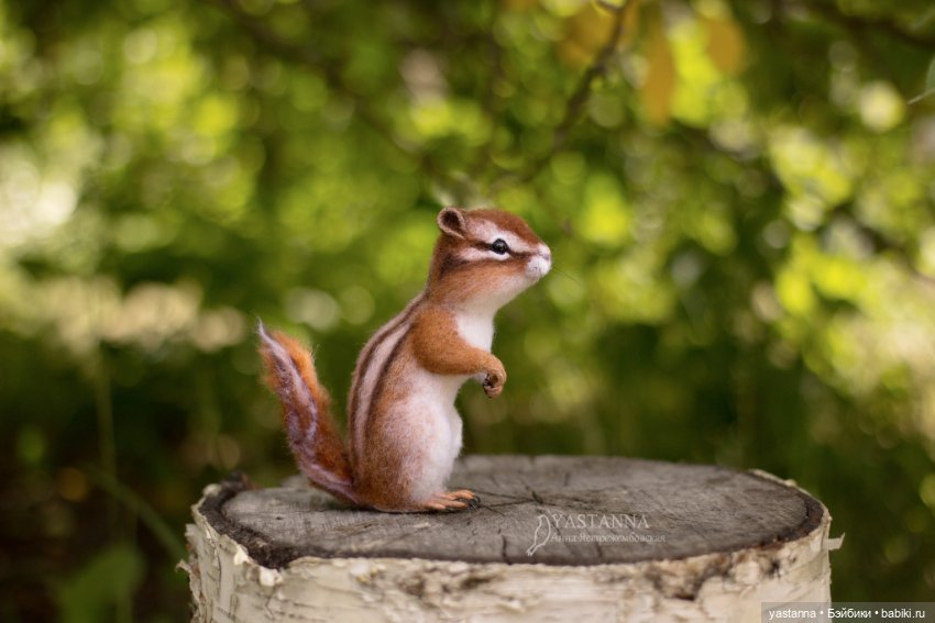 Бурундучок — Валяные игрушки из шерсти: сухое валяние