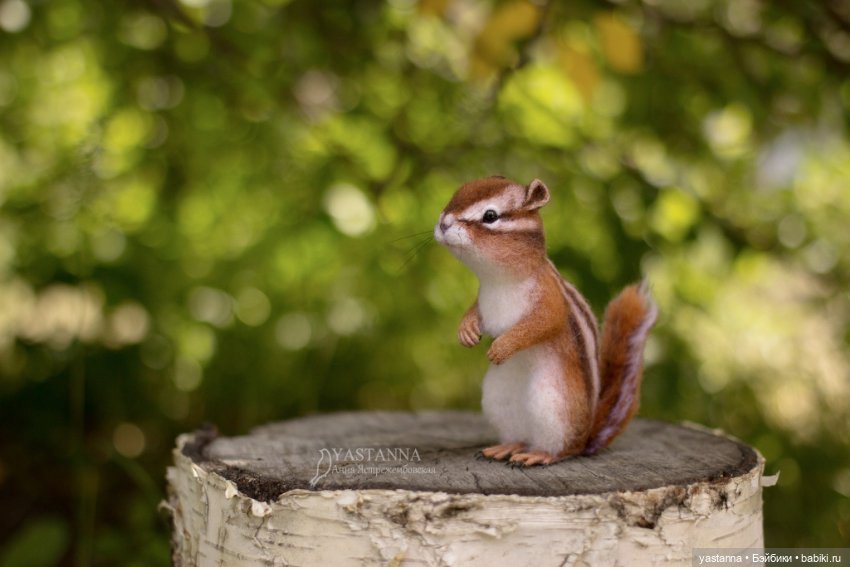 Бурундучок — Валяные игрушки из шерсти: сухое валяние