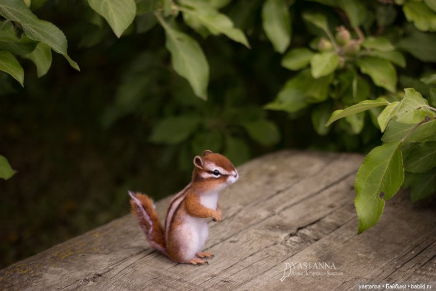 Бурундучок — Валяные игрушки из шерсти: сухое валяние (фото 7)