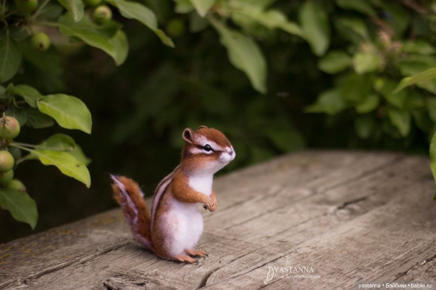 Бурундучок — Валяные игрушки из шерсти: сухое валяние (фото 5)