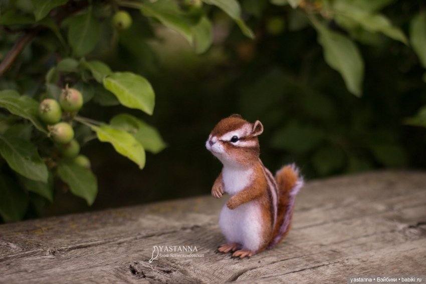 Бурундучок — Валяные игрушки из шерсти: сухое валяние (фото 4)