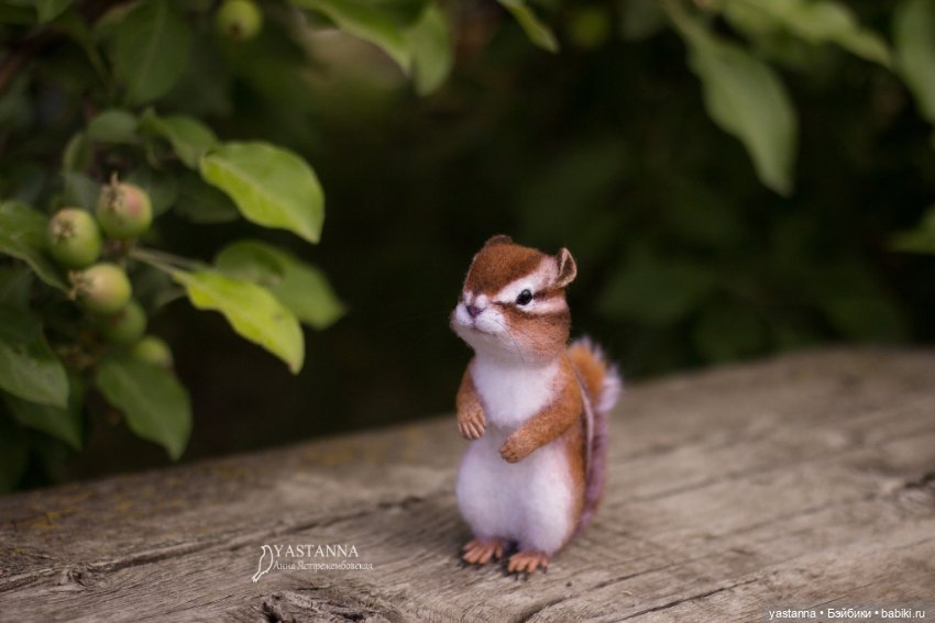 Бурундучок — Валяные игрушки из шерсти: сухое валяние (фото 3)