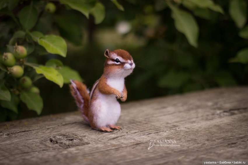 Бурундучок — Валяные игрушки из шерсти: сухое валяние (фото 6)