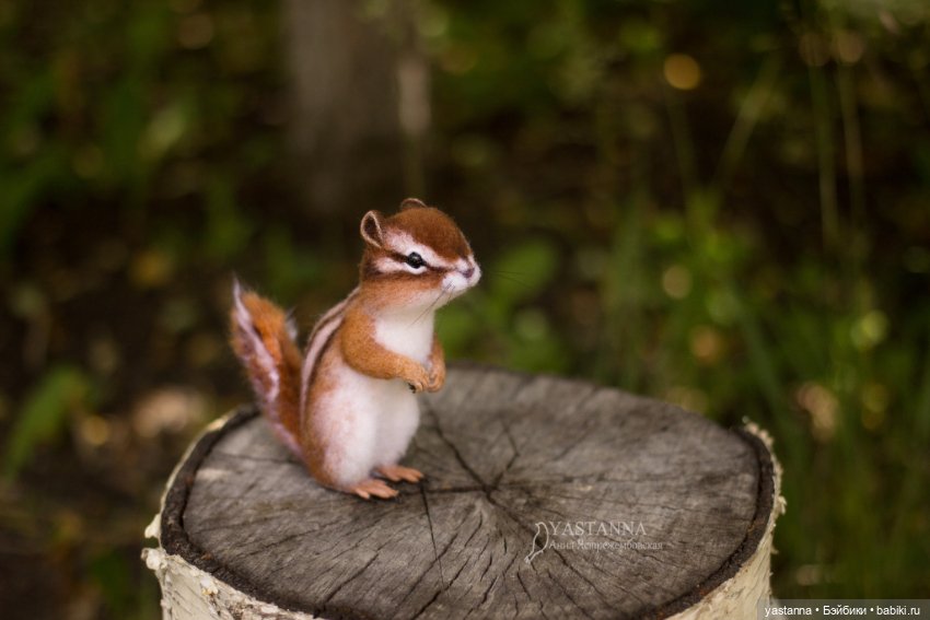 Бурундучок — Валяные игрушки из шерсти: сухое валяние (фото 9)