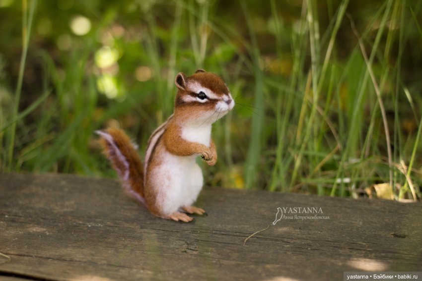 Бурундучок — Валяные игрушки из шерсти: сухое валяние