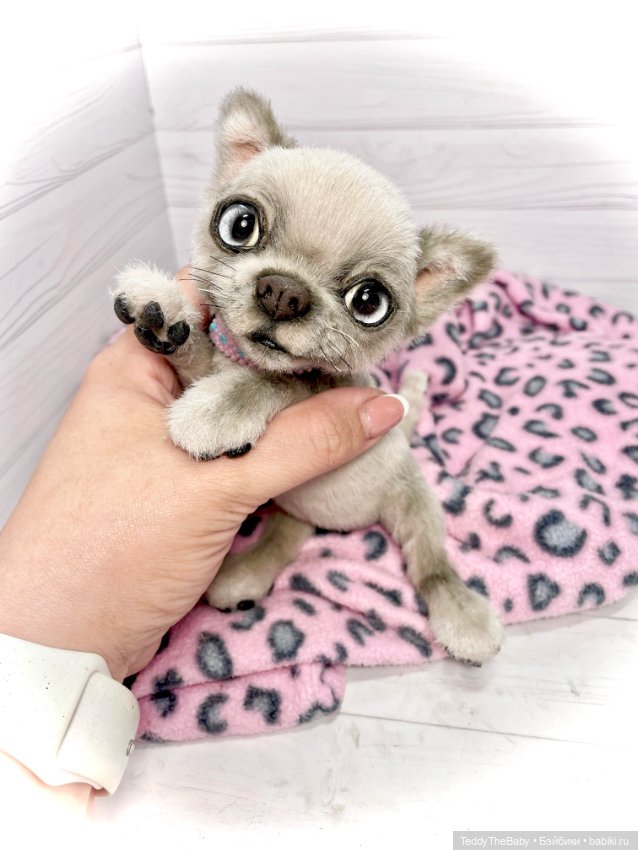 Ласка🐾🐶 — Реалистичные игрушки и звери (Натюр): собаки