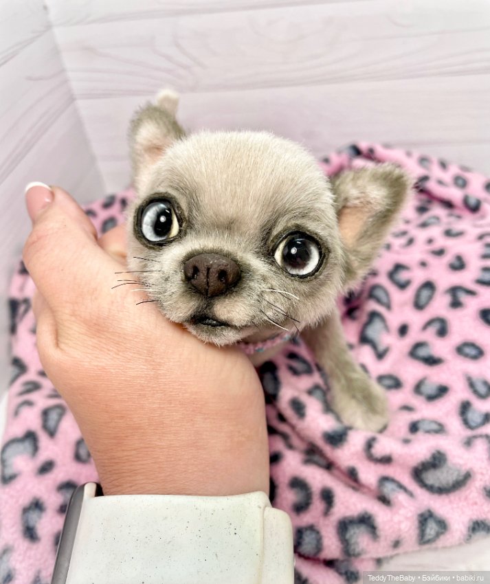 Ласка🐾🐶 — Реалистичные игрушки и звери (Натюр): собаки
