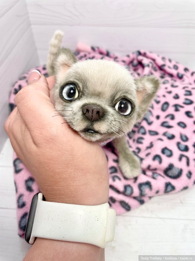Ласка🐾🐶 — Реалистичные игрушки и звери (Натюр): собаки