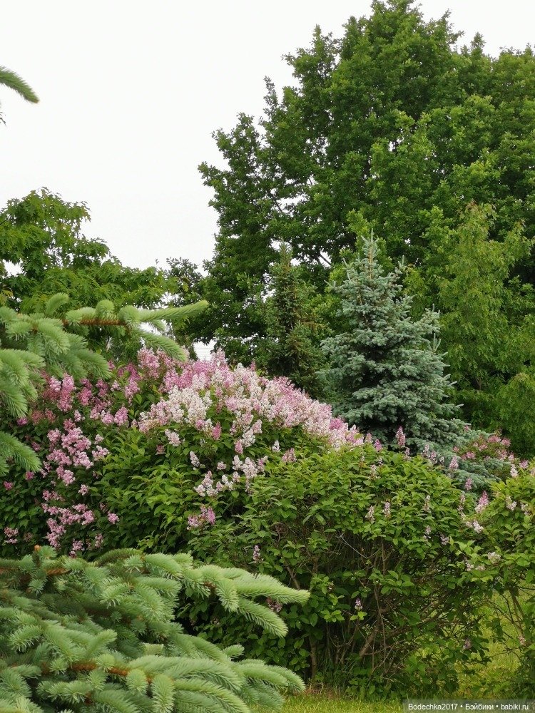 Моя ровесница — Куклы Sindy (Синди) и Tammy (Тамми): винтаж