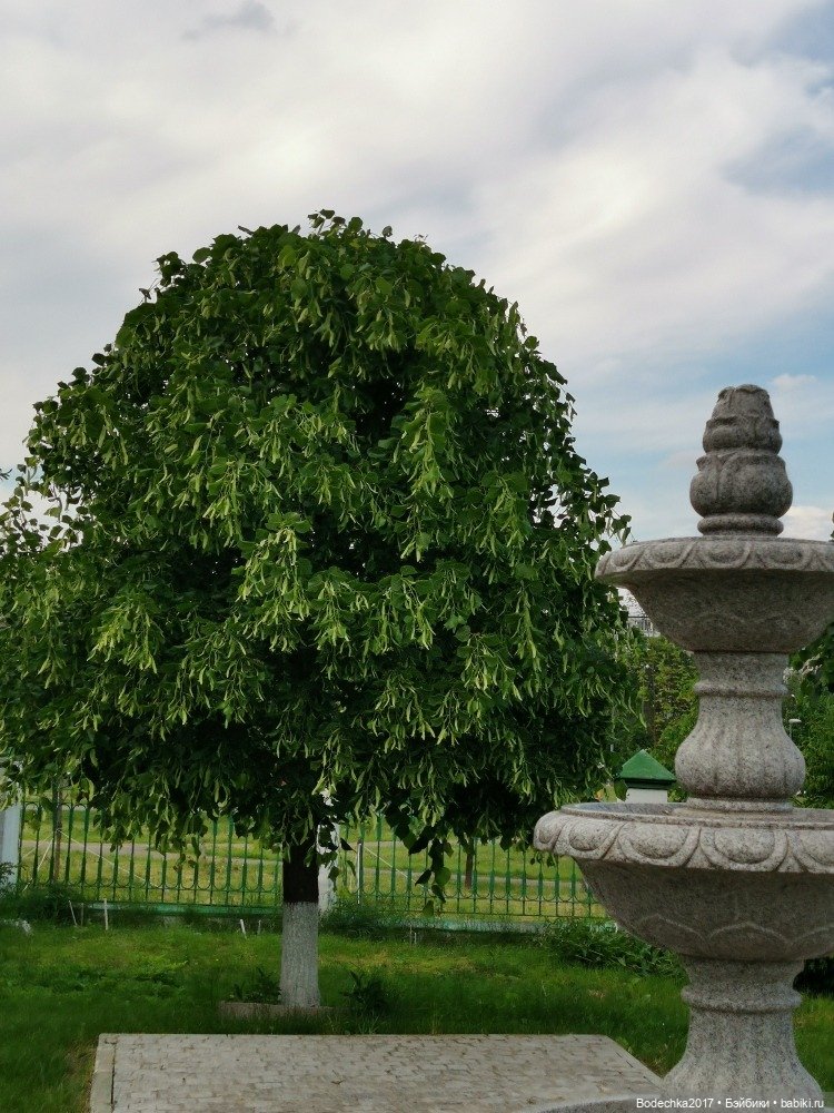 Моя ровесница — Куклы Sindy (Синди) и Tammy (Тамми): винтаж (фото 9)