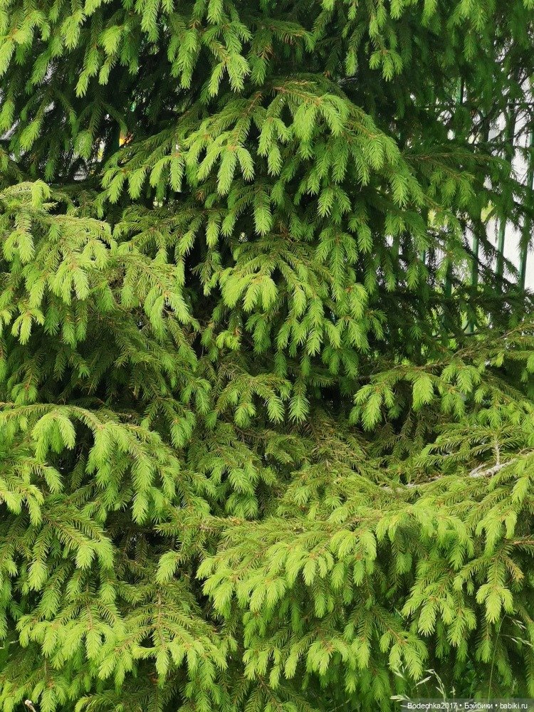 Моя ровесница — Куклы Sindy (Синди) и Tammy (Тамми): винтаж