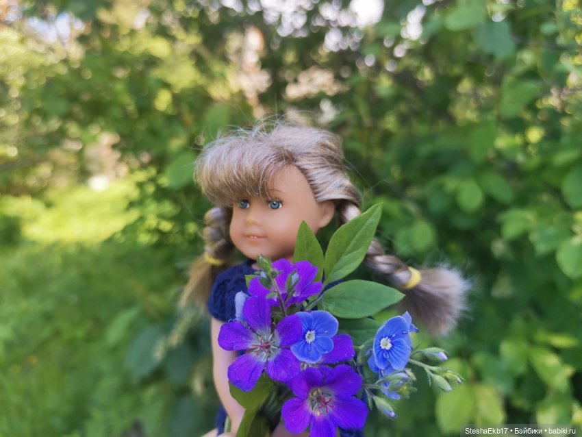 Кирстен Ларсон American girl mini (фото 8)