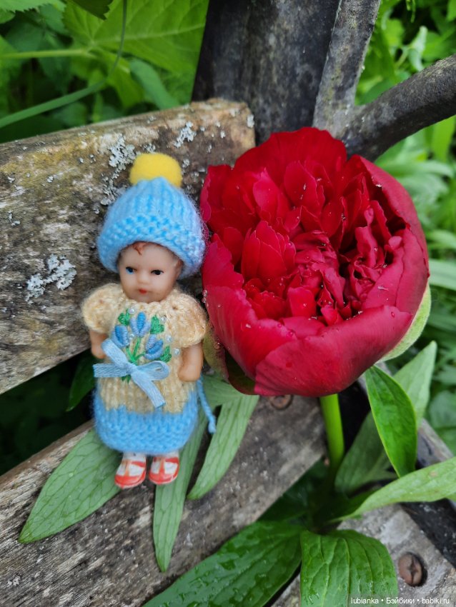 Ещё одна арийская малышка на прогулке (фото 10)