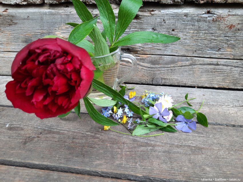 Ещё одна арийская малышка на прогулке