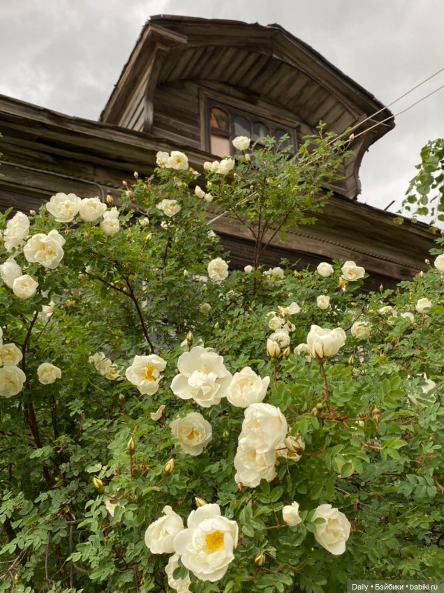 Течёт река Волга — Туризм и путешествия: фотоотчеты из поездок (фото 3)