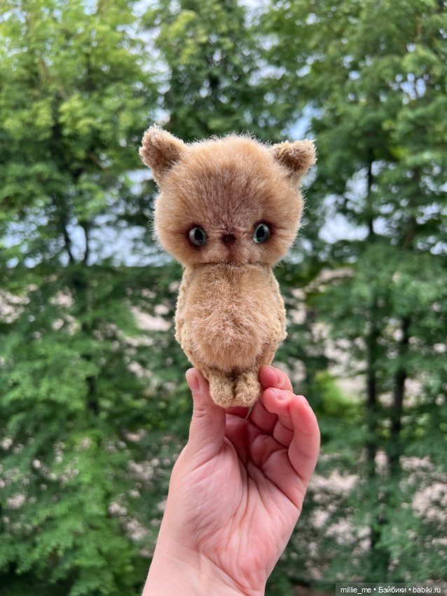 Котенок Кузя. Спонтанный кот (фото 6)