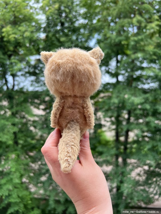 Котенок Кузя. Спонтанный кот (фото 5)