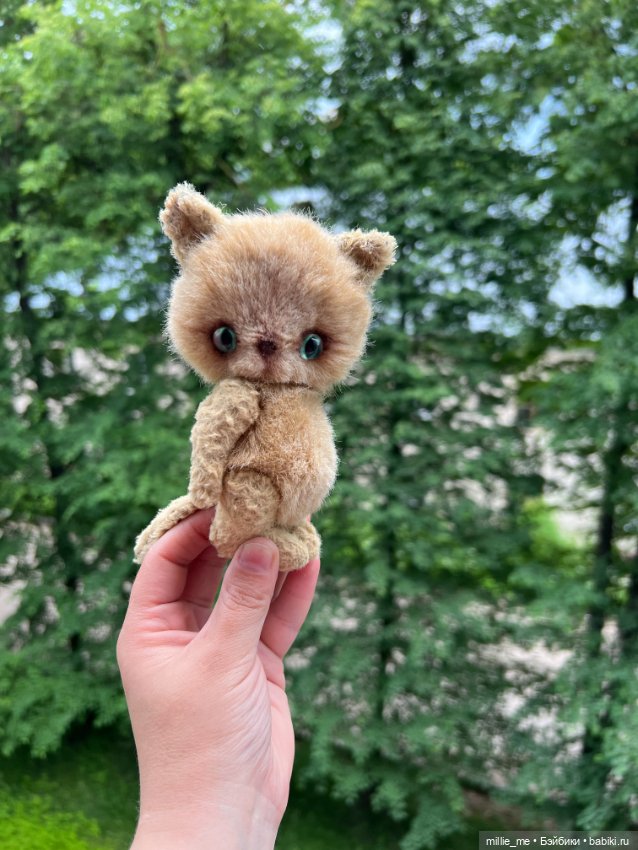 Котенок Кузя. Спонтанный кот (фото 4)