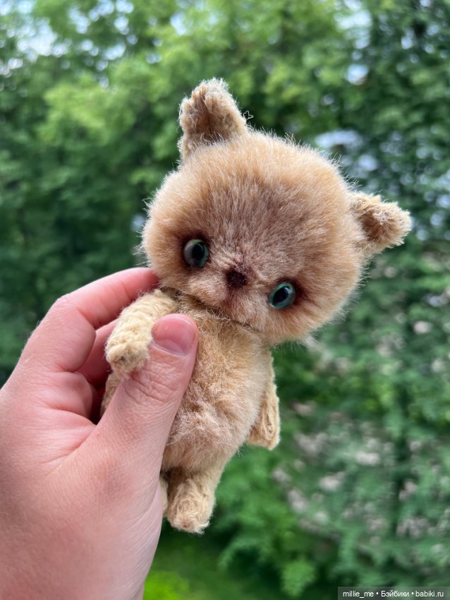 Котенок Кузя. Спонтанный кот (фото 3)