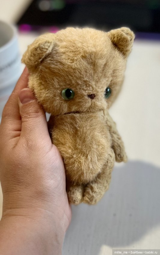 Котенок Кузя. Спонтанный кот