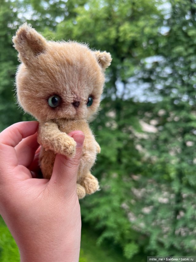 Котенок Кузя. Спонтанный кот (фото 2)