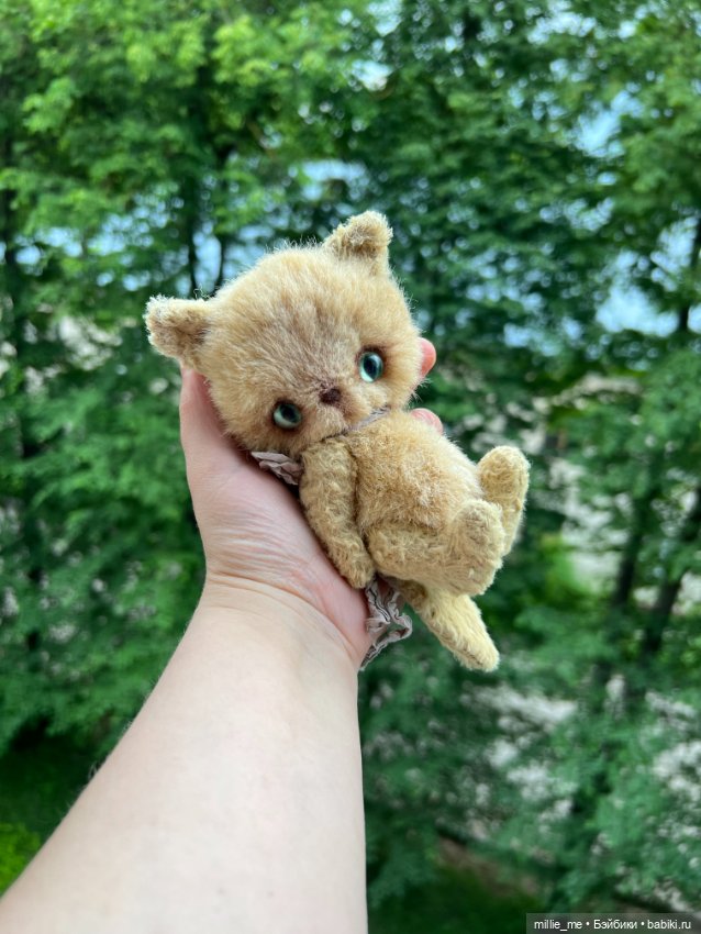 Котенок Кузя. Спонтанный кот (фото 9)