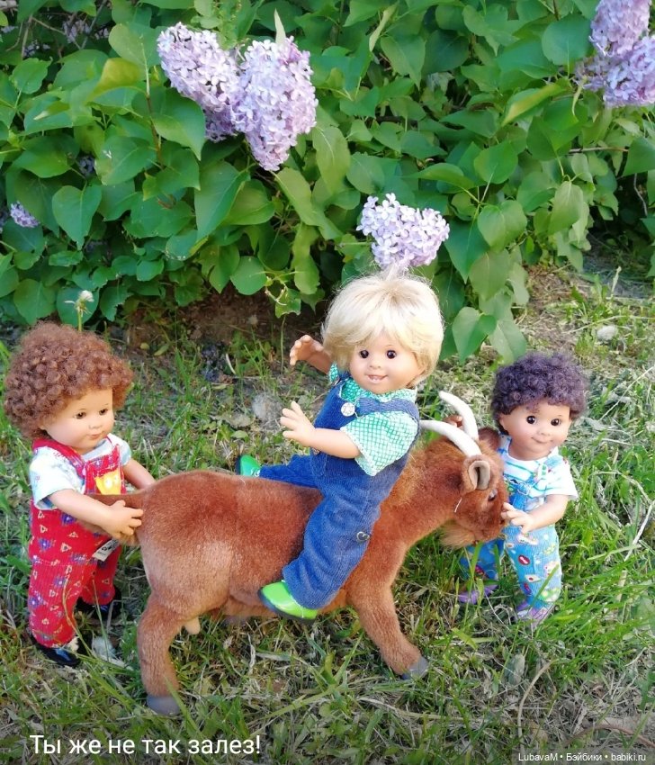 Вихтели и коза — Красивая природа и цветы: фото пейзажей (фото 5)