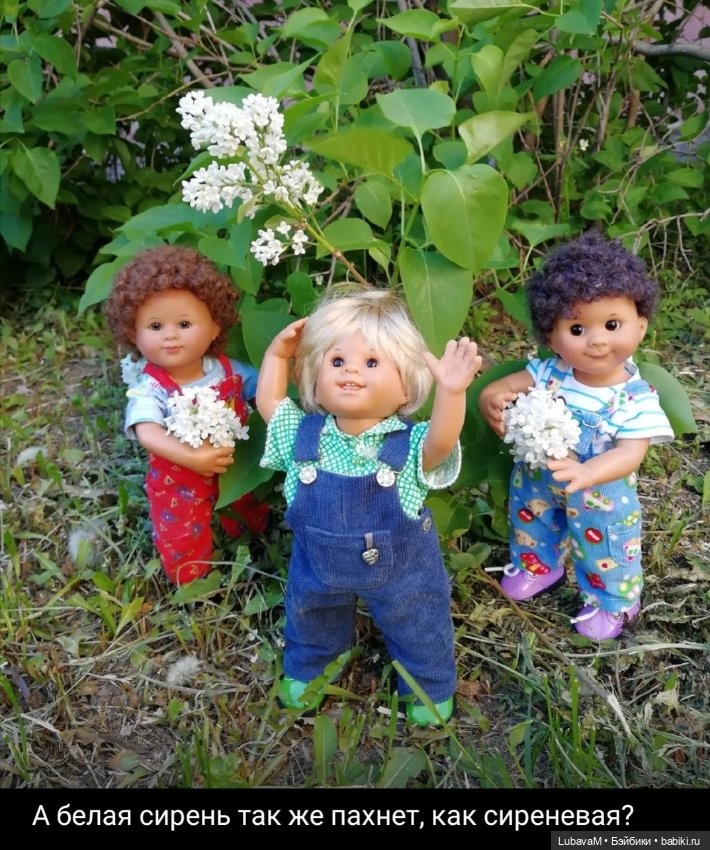 Вихтели и коза — Красивая природа и цветы: фото пейзажей (фото 2)