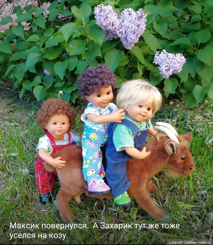 Вихтели и коза — Красивая природа и цветы: фото пейзажей (фото 7)