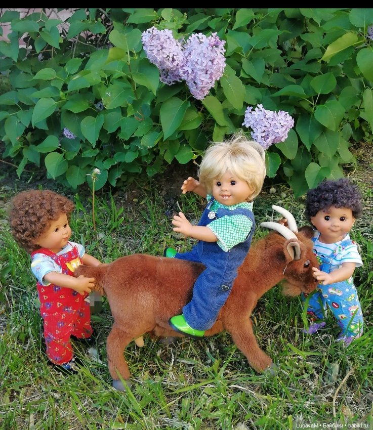 Вихтели и коза — Красивая природа и цветы: фото пейзажей (фото 6)