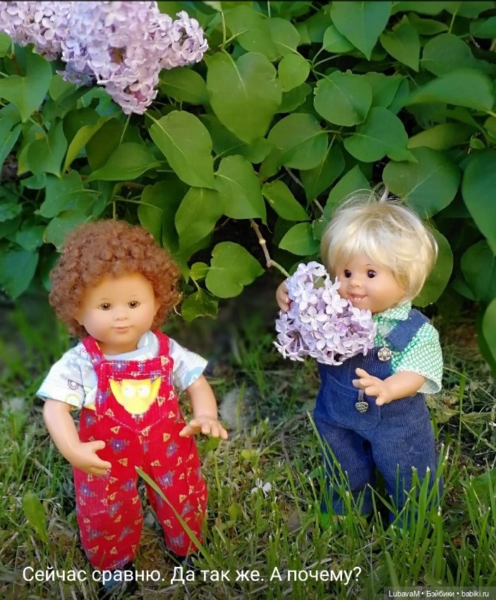 Вихтели и коза — Красивая природа и цветы: фото пейзажей (фото 3)