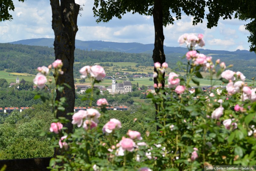 Долина Вахау с куколкой Руби Ред